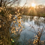 Paysage - Lac de Chalette-sur-Loing