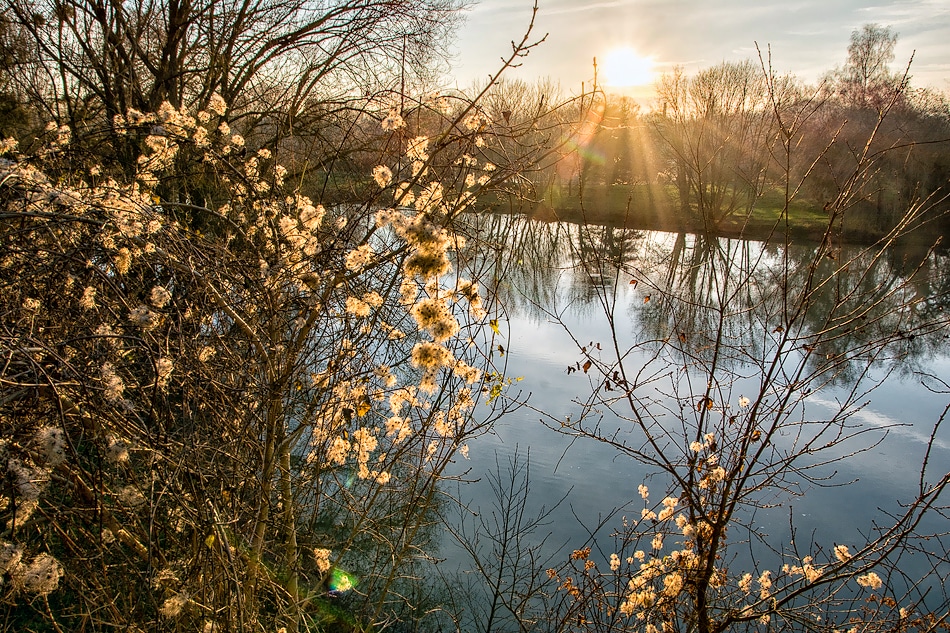 Paysage - Lac de Chalette-sur-Loing