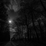 En forêt de Montargis la nuit