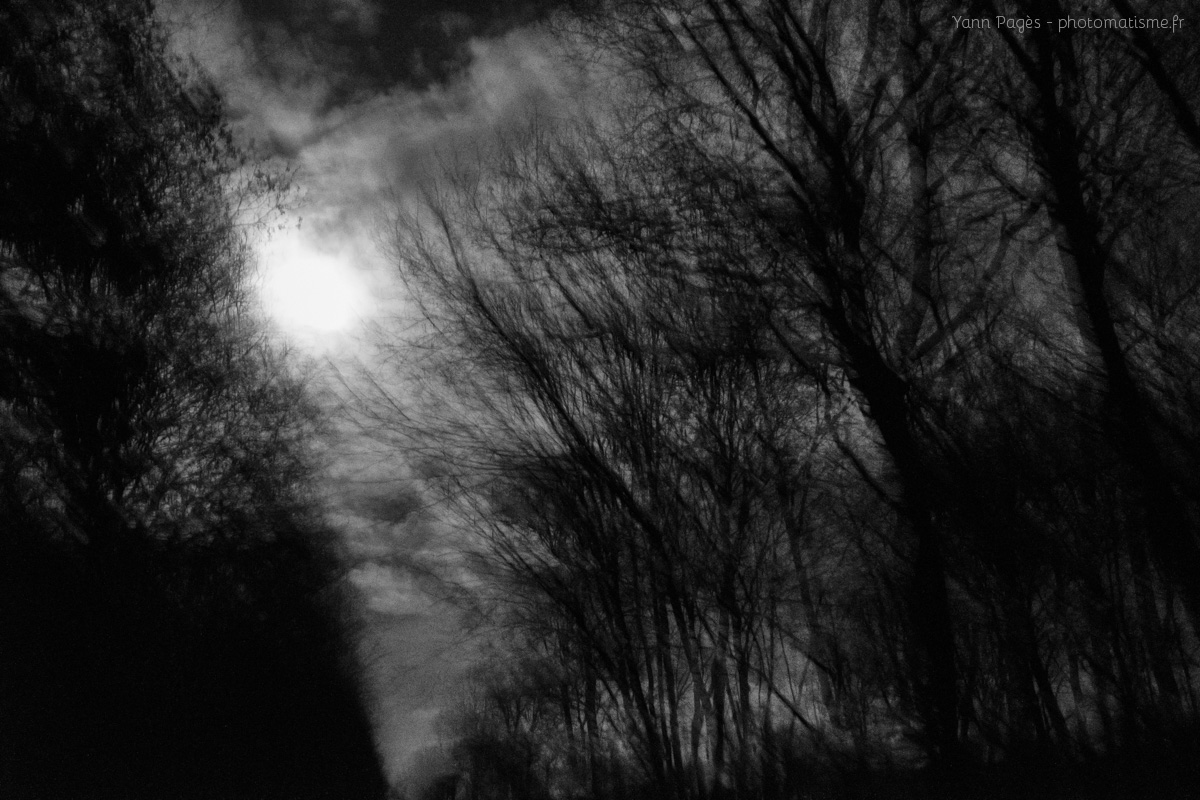 En forêt de Montargis la nuit