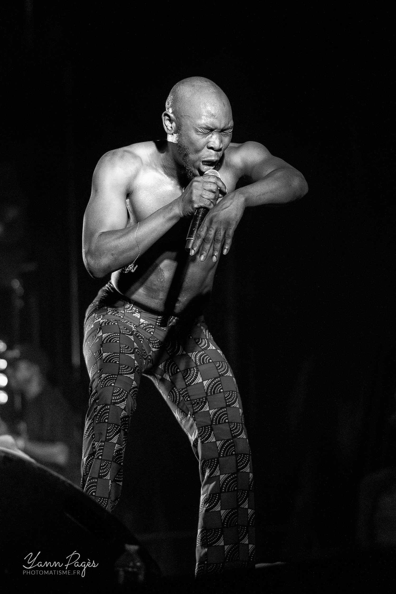 SEUN KUTI & EGYPT 80 Festival Django Reinhardt - Fontainebleau - 7 juillet 2018 © Yann Pagès