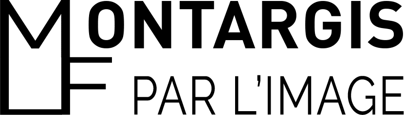 Histoire de Montargis