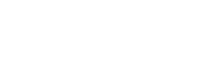 Histoire de Montargis