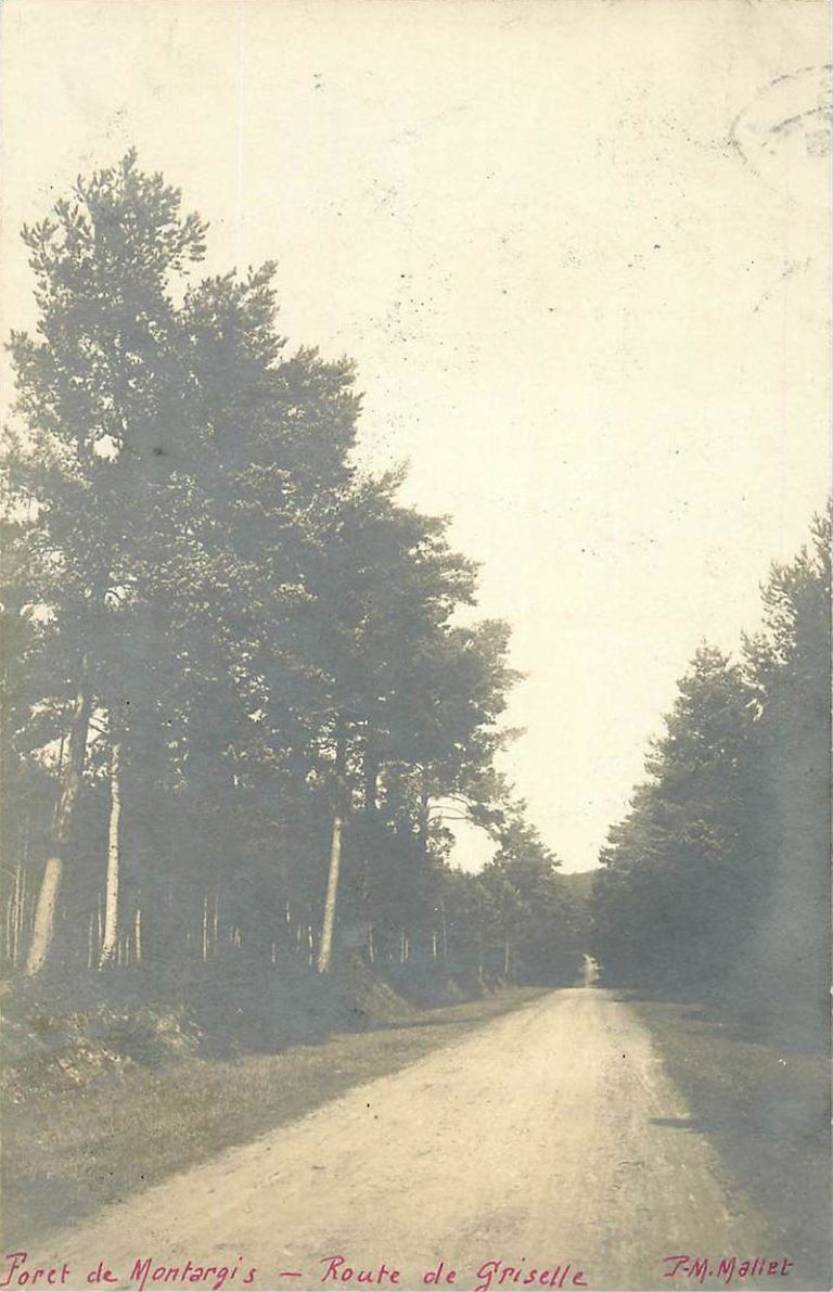 Vieux Montargis - Photographe Marius Mallet