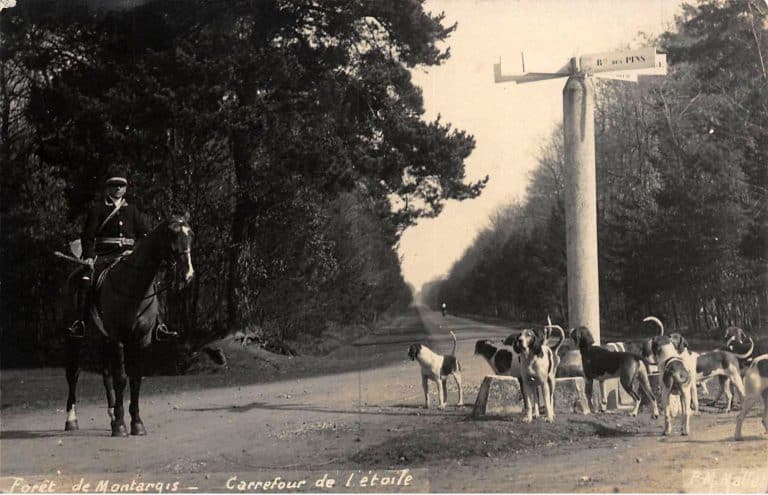 Vieux Montargis - Photographe Marius Mallet